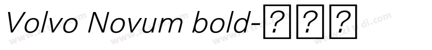 Volvo Novum bold字体转换 Volvo Novum bold字体转换